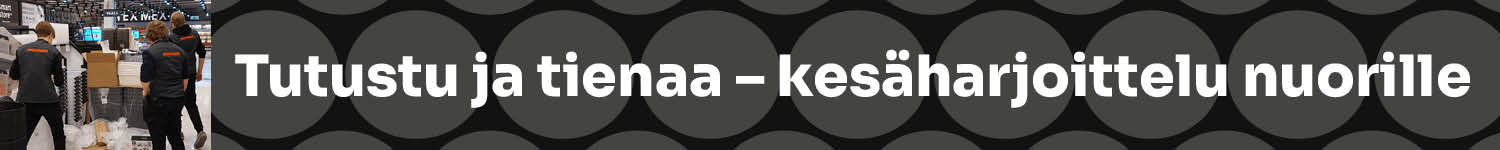 Tutustu ja tienaa - kes&auml;harjoittelu nuorille