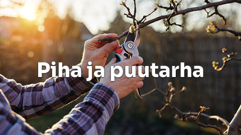 Piha ja puutarha