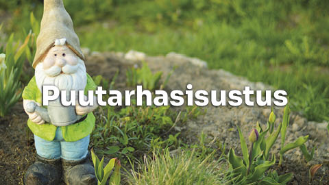 Puutarhasisustus