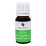 EMENDO SAUNATUOKSU EUKALYPTUS 10 ML