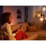 PHILIPS HUE WHITE ÄLYLAMPPU FILAMENT 7W G93 E27 550L 2100K