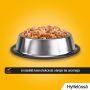 PEDIGREE JUNIOR HYYTELÖLAJ. 4X100G 400 G