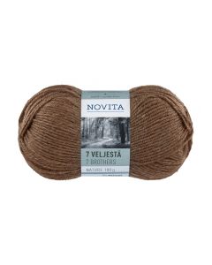 NOVITA 7 VELJESTÄ NATURE 100G METSÄSIENI