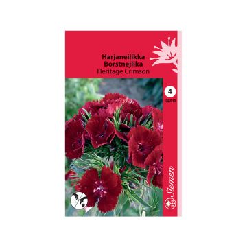 SIEMEN HARJANEILIKKA HERITAGE CRIMSON HR4