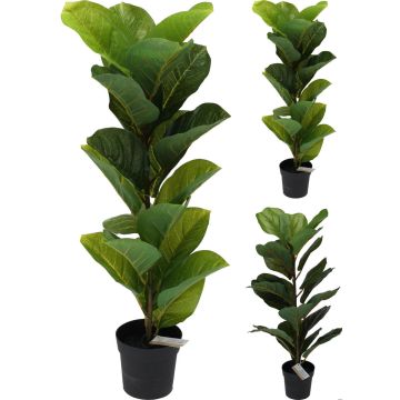 TEKOKASVI RUUKUSSA 66CM