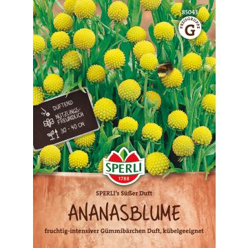 SPERLI TUOKSUSYYSHOHDEKUKKA SUSSER DUFT ANN