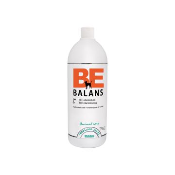 PROBALANS BE-BALANS BE-VITAMIINILIUOS KOIRILLE 100 ML