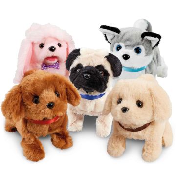 HAPPY PETS KOIRA TOIMINNOILLA