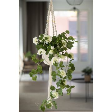 4LIVING PELARGONIA KIMPPU RIIPPUVA 80 CM TEKOKASVI LAJITELMA