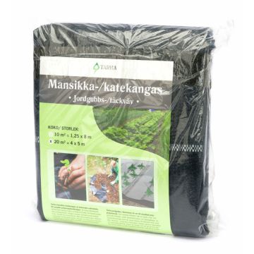 MANSIKKA-/ KATEKANGAS 20 M2, 4 X 5 M