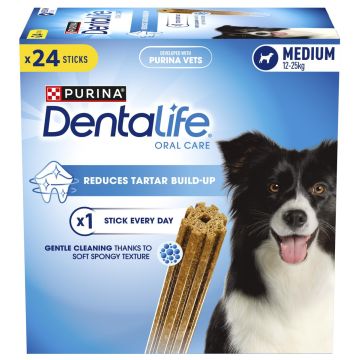PURINA DENTALIFE MEDIUM BIG PACK 24KPL 552 G