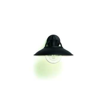 PHILIPS CORMORANT ULKOSEINÄVALAISIN MUSTA 42W 230V HI