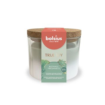 BOLSIUS TUOKSUKYNTTILÄ KANNELLA 66/83MM BOTANIC FRESHNESS