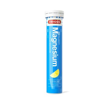 FRIGGS MAGNESIUM PORETABLETTI 20 KPL