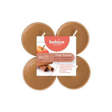 BOLSIUS MAXI LÄMPÖKYNTTILÄ 8H 8KPL UUNIOMENA