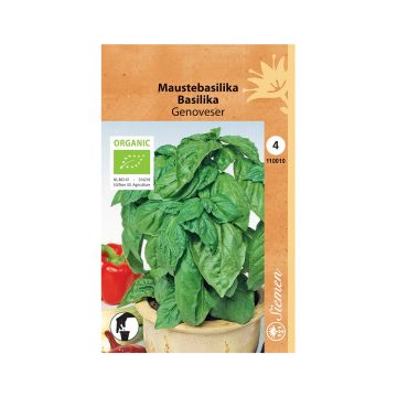 SIEMEN LUOMU MAUSTEBASILIKA GENOVESER HR4