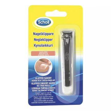 SCHOLL KYNSISAKSET