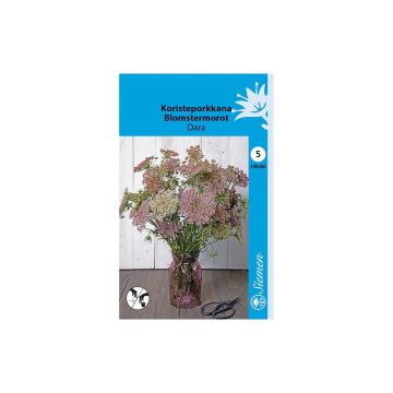 SIEMEN KORISTEPORKKANA DARA