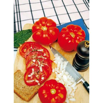 SIEMEN PIHVITOMAATTI MARMANDE HR3