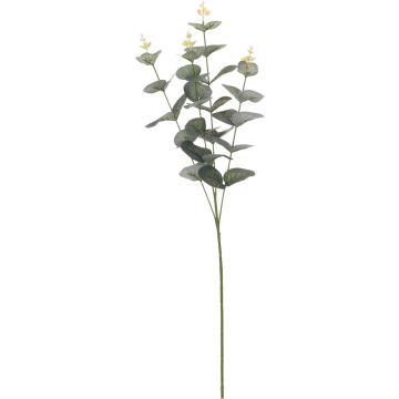 EUKALYPTUSOKSA 65CM