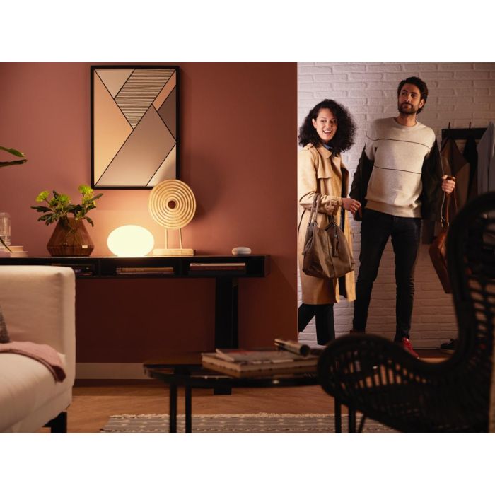 PHILIPS HUE WHITE ALOITUSPAKKAUS 9.5W A60 E27 2KPL 1055L 2700K