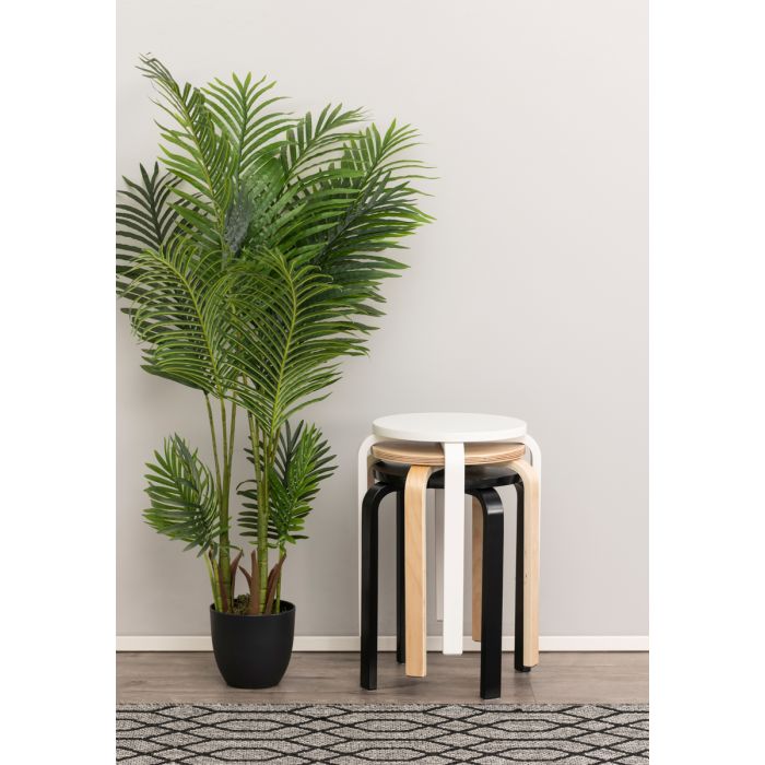 4LIVING HUONEPALMU 140 CM