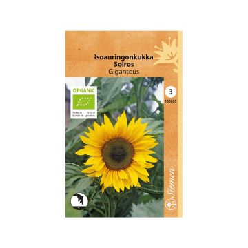 SIEMEN LUOMU ISOAURINGONKUKKA GIGANTEUS