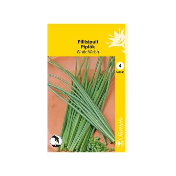 SIEMEN PILLISIPULI WHITE WELSH HR4