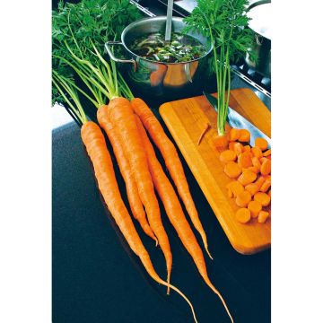 SIEMEN PORKKANA SUGARSNAX 54 F1 HR4