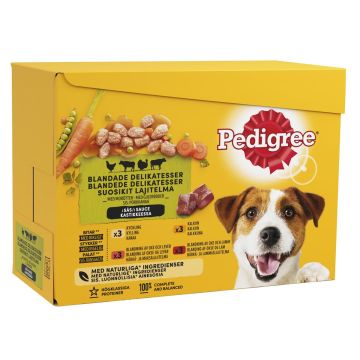 PEDIGREE ADULT KASTIKELAJ. 12X100G 1,2 KG