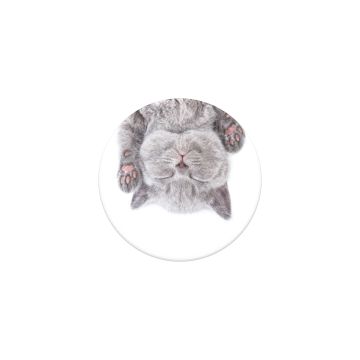 POPSOCKETS ÄLYPUHELIMEN PIDIKE CAT NAP