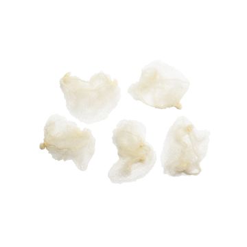 CAILAP NUTTURAVERKKO 5 KPL, VÄRILAJITELMA