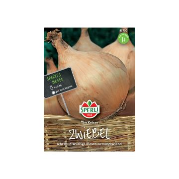 SPERLI JÄTTISIPULI THE KELSAE ANN