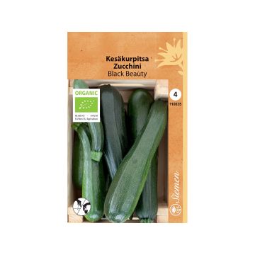 SIEMEN LUOMU KESÄKURPITSA BLACK BEAUTY HR4