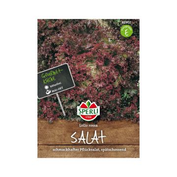 SPERLI BATAVIASALAATTI LOLLO ROSSA ANN