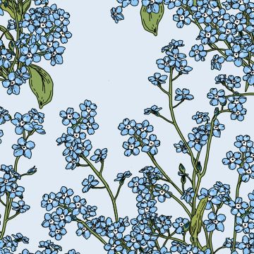 HAVI NUPPU LEMMIKKI LAUTASLIINA 24CM