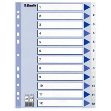 ESSELTE REKISTERI ESSELTE 1-12 A4 KARTONKI