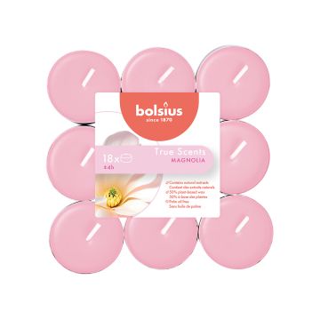 BOLSIUS TUOKSULÄMPÖKYNTTILÄ 4H 18KPL MAGNOLIA