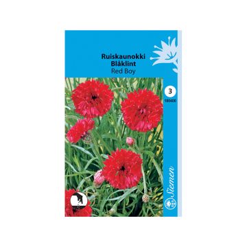 SIEMEN RUISKAUNOKKI RED BOY HR3