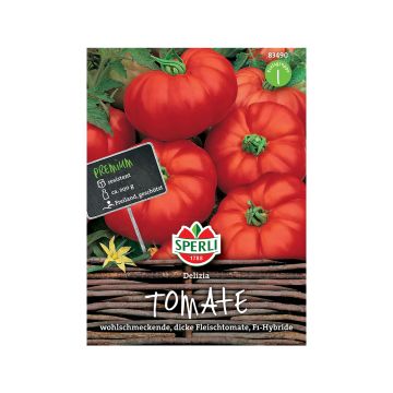 SPERLI TOMAATTI DELIZIA F1 ANN I