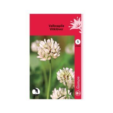 SIEMEN VALKOAPILA HR5