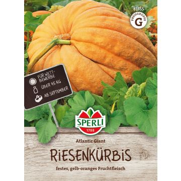 SPERLI JÄTTILÄISKURPITSA GRAN GIGANTE ANN