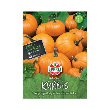 SPERLI MINIKURPITSA BABY BEAR ANNOS