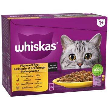 WHISKAS 1+ SIIPIKARJAHERKUT KASTIKKEESSA 12*85G 1,02 KG