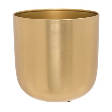 4LIVING SUOJARUUKKU GOLDIE 18 CM