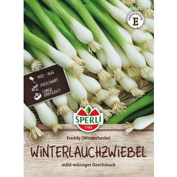 SPERLI TALVISIPULI WINTERHECKE ANN