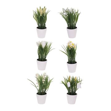 VIHERKASVI VALKOISESSA RUUKUSSA 21CM