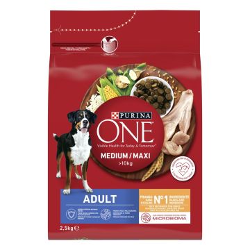 PURINA ONE KOIRAN TÄYSRAVINTO ADULT MEDIUM/MAXI KANAA&RIISIÄ 2,5 KG