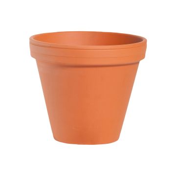 SCAN-POT SAVIRUUKKU TERRA 24 CM