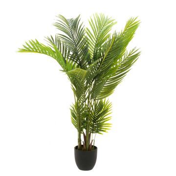 4LIVING HUONEPALMU 140 CM